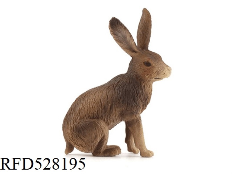 HARE
