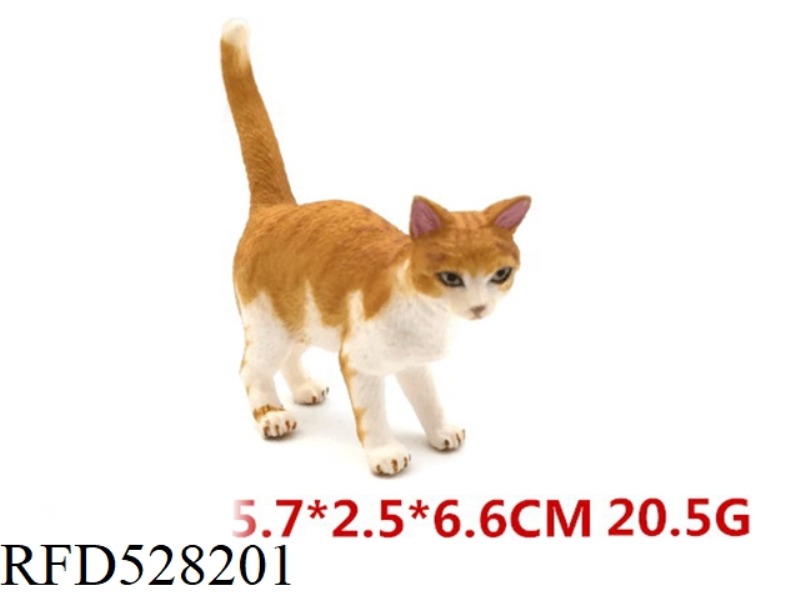 YELLOW CAT