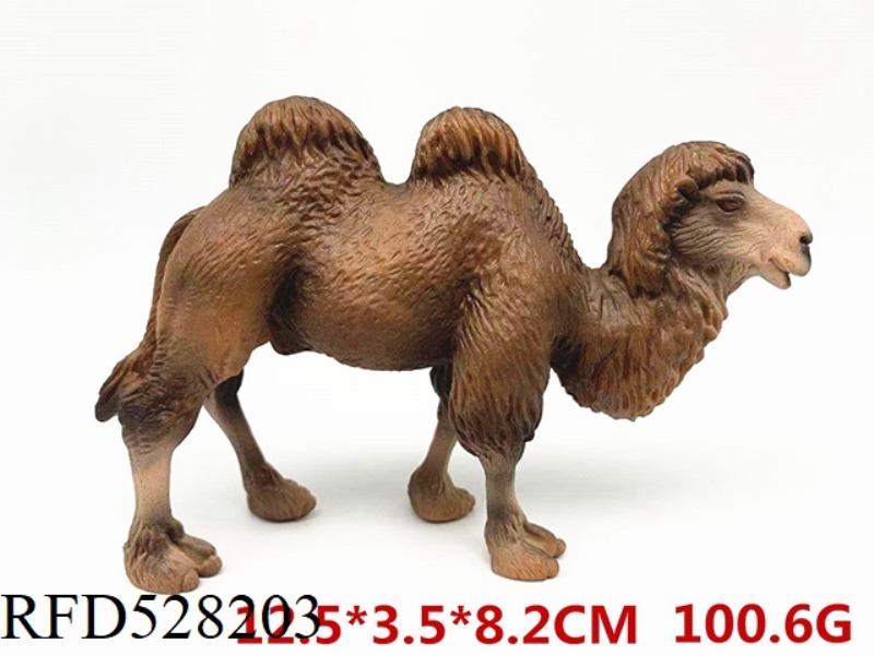 BACTRIAN CAMEL