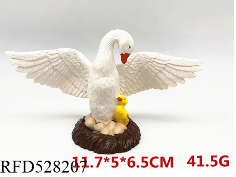 SWAN