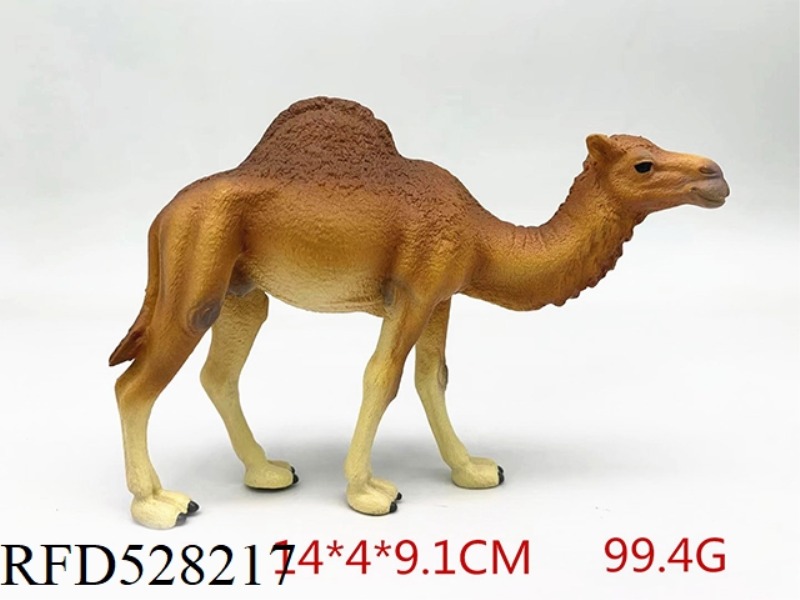 ONE-HUMPED CAMEL