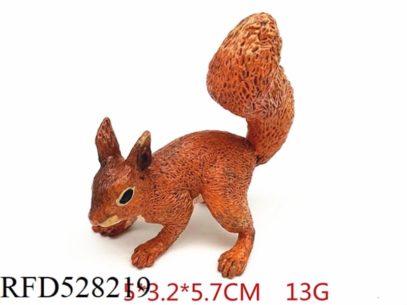 SQUIRREL