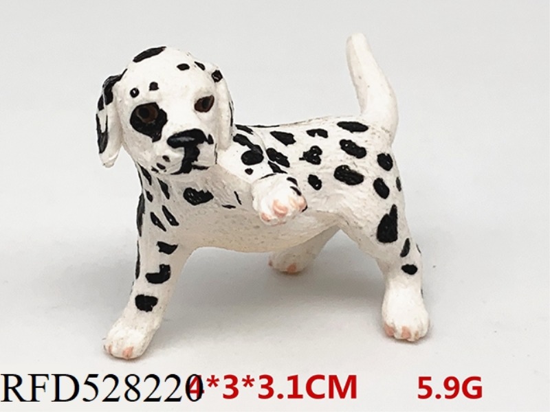 PLAYING WITH SPOTTED DOGS