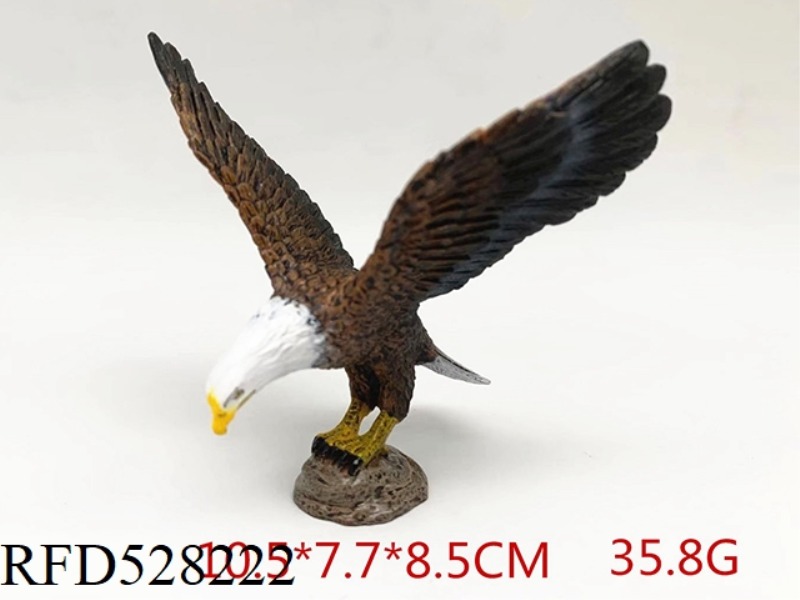 WHITEHEADED SEA EAGLE [BOWING HEAD]