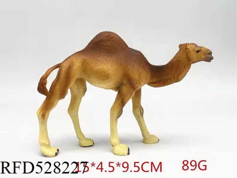 NEW DROMEDARY CAMEL