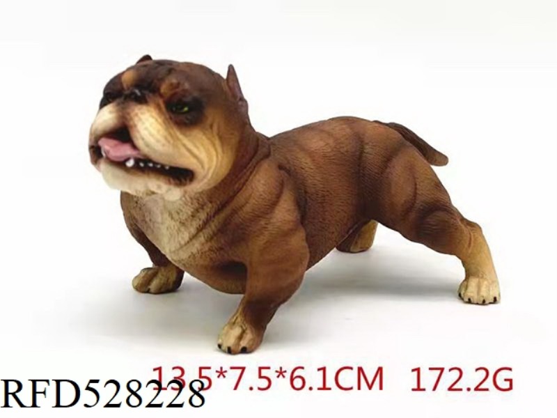 BULLY PITBULL