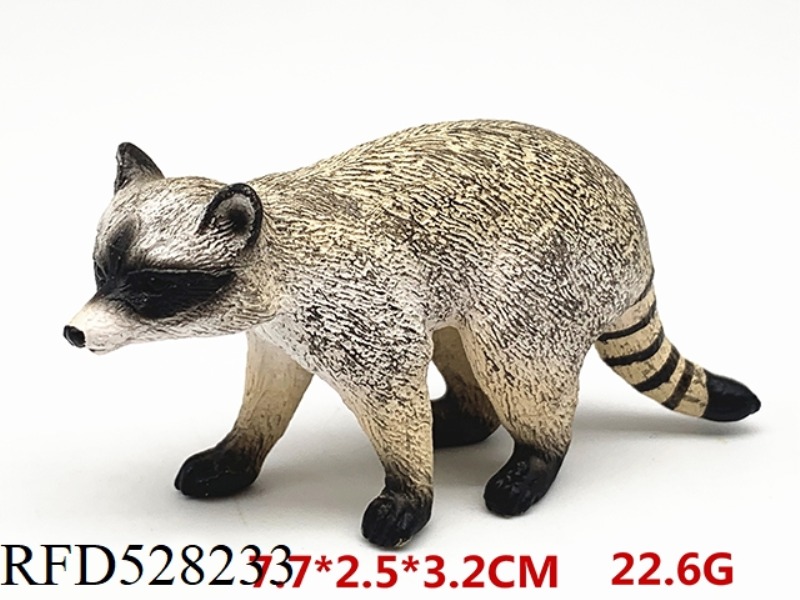 RACCOON