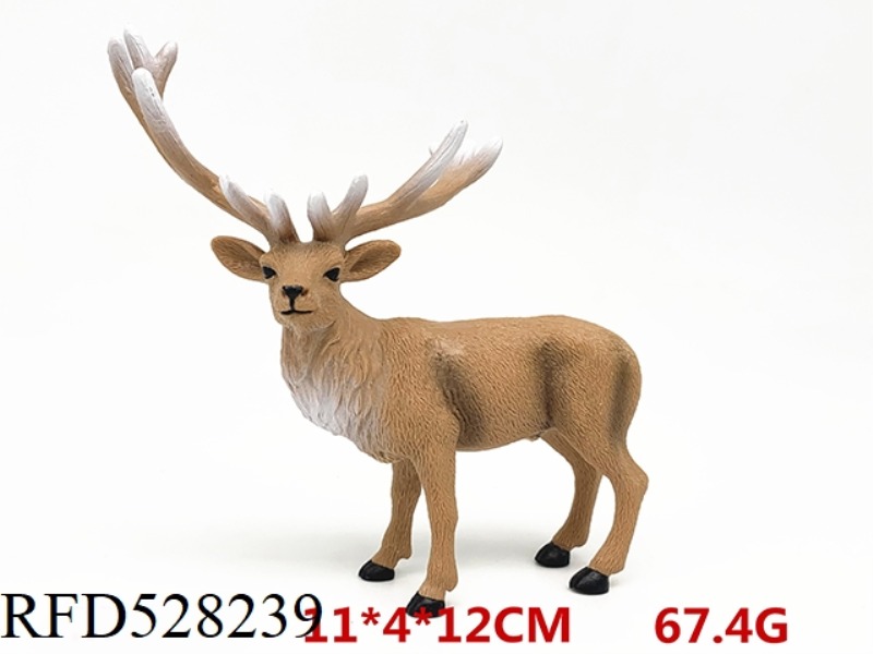 MALE RED DEER