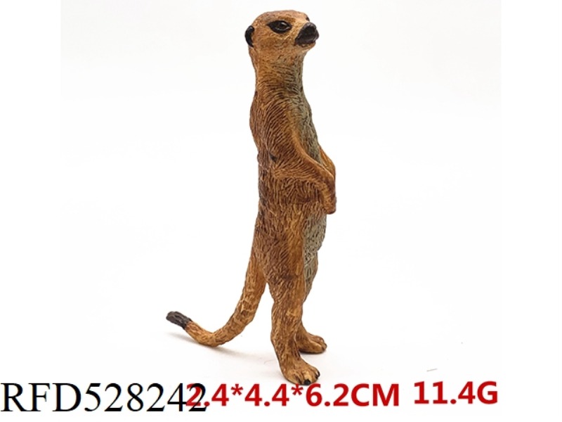 STANDING MEERKAT