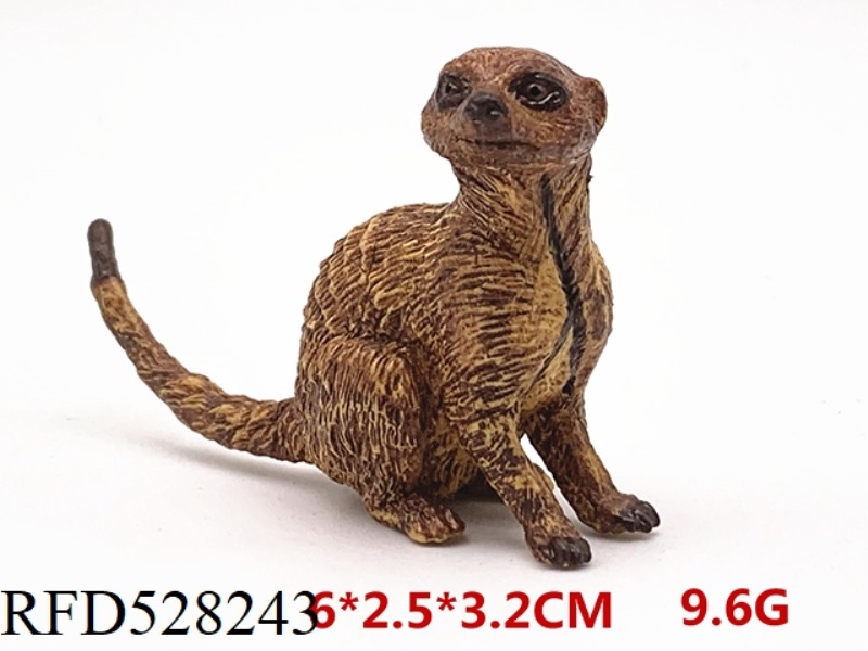 SITTING MEERKAT