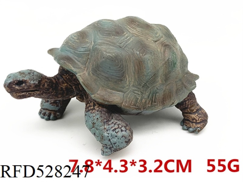 NEW TORTOISE