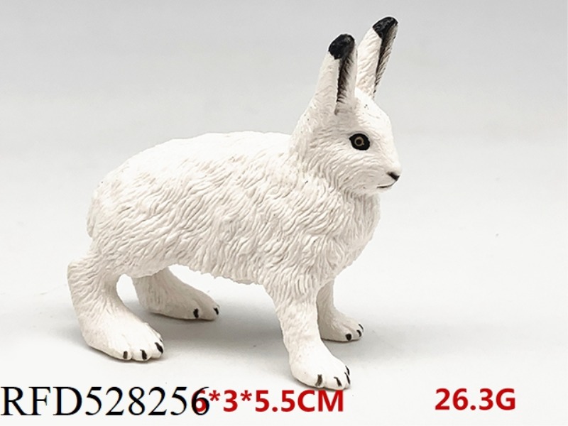 ARCTIC RABBIT