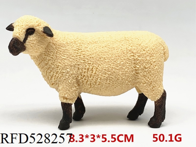 SHROPSHIRE SHEEP