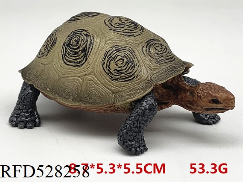 TORTOISE