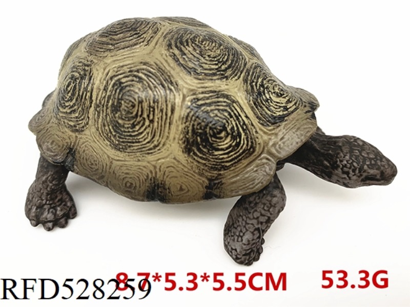 DARK TURTLE