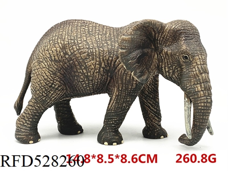 AFRICAN FEMALE ELEPHANT