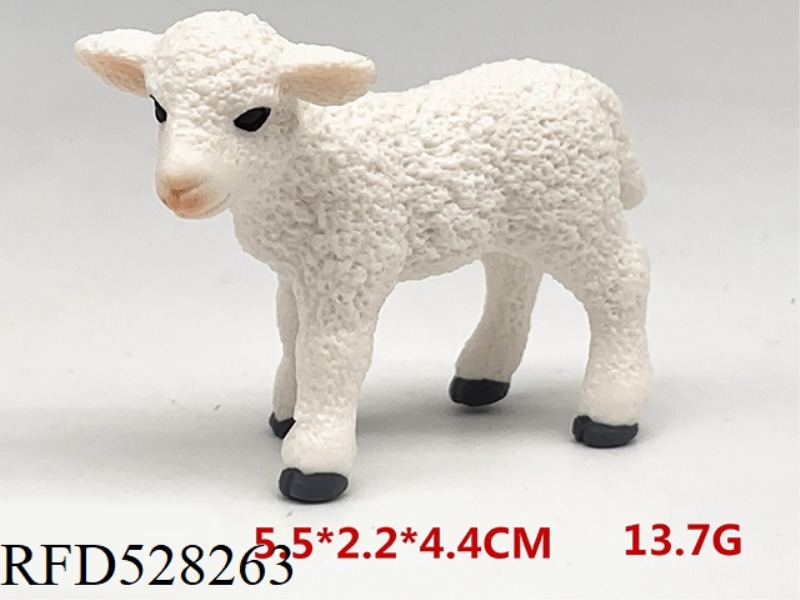 LITTLE SHEEP
