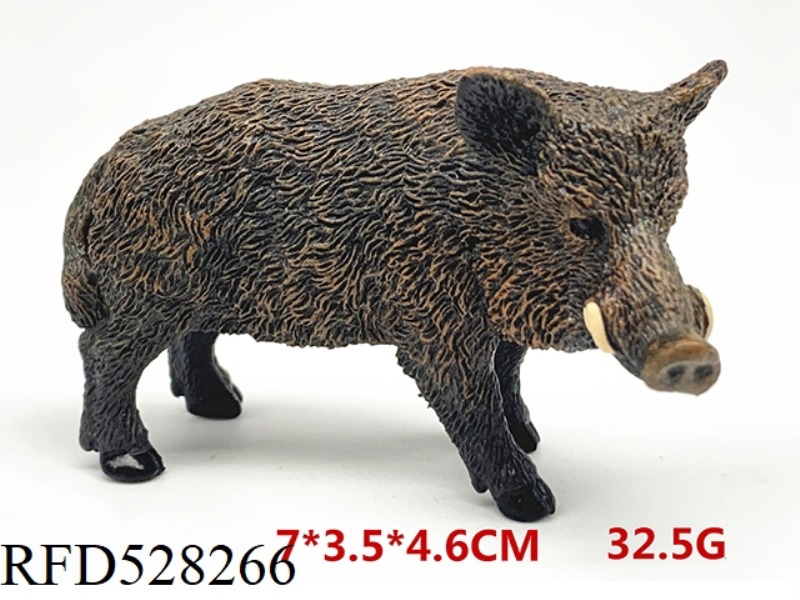 WILD BOAR