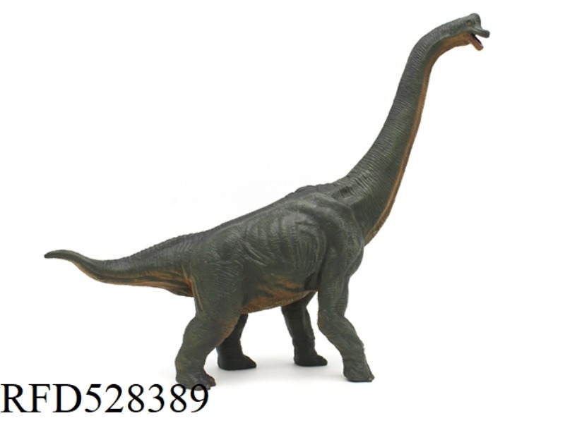 DONGBO BRACHIOSAURUS