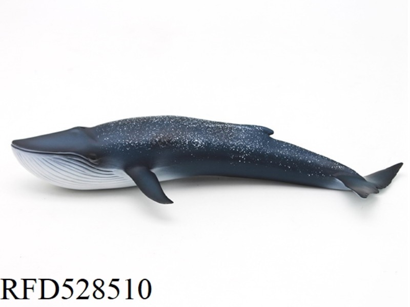 BLUE WHALE