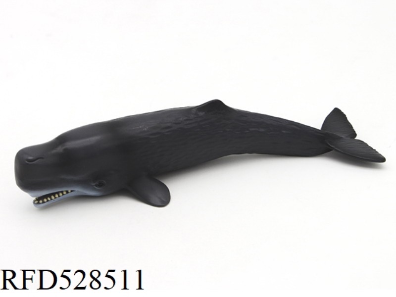 THE SPERM WHALE