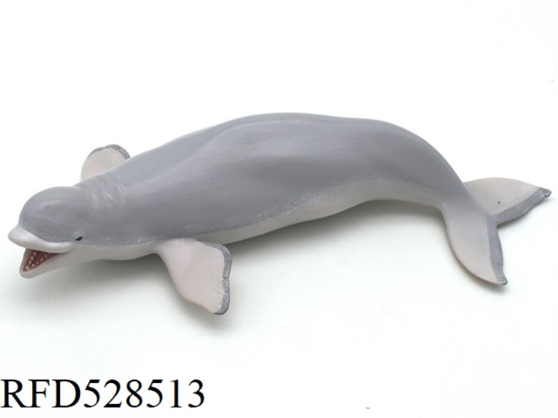 BELUGA
