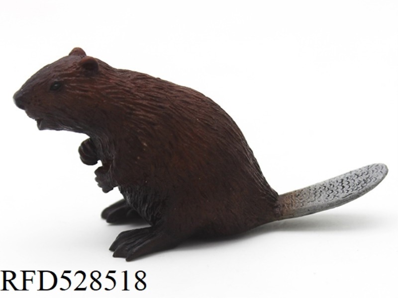 BEAVER