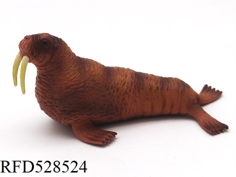 WALRUS