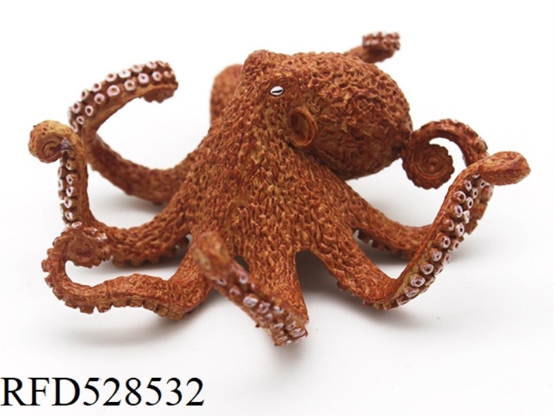 OCTOPUS