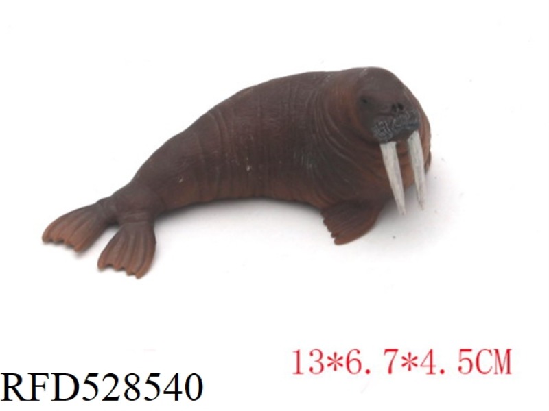 NEW WALRUS