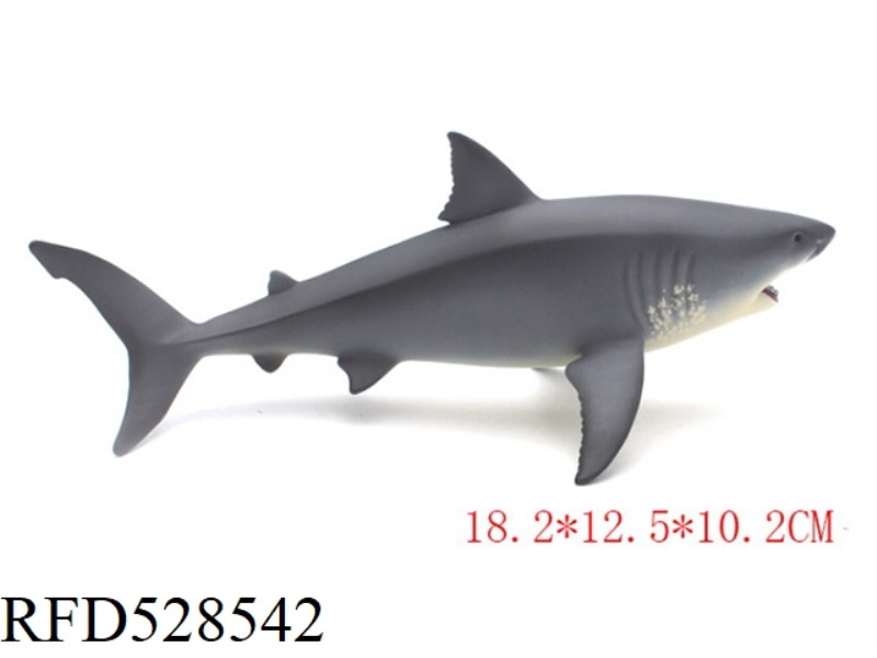 WHITE SHARK