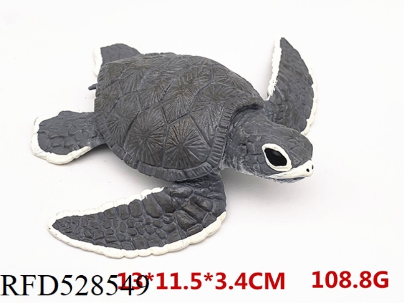 SEA TURTLE