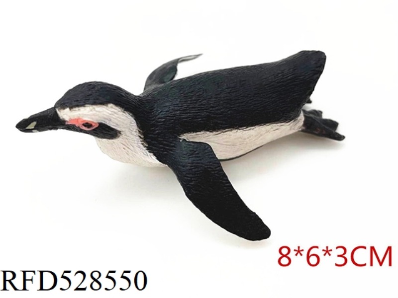SOUTH AFRICAN PENGUIN