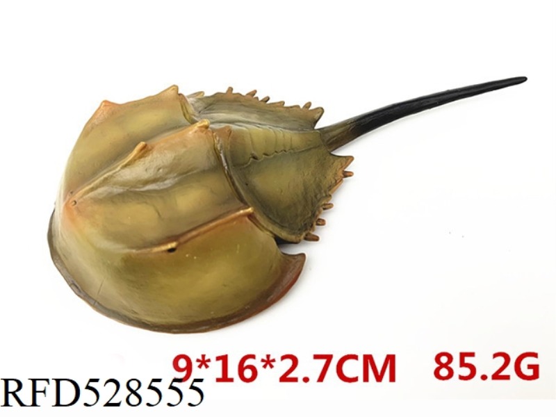 HORSESHOE CRAB