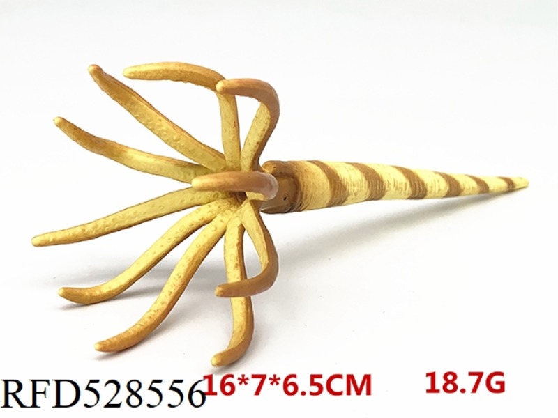 ORTHOCERAS