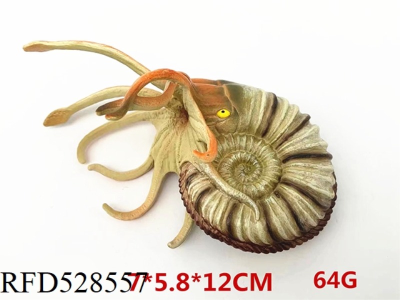 AMMONITE SNAIL