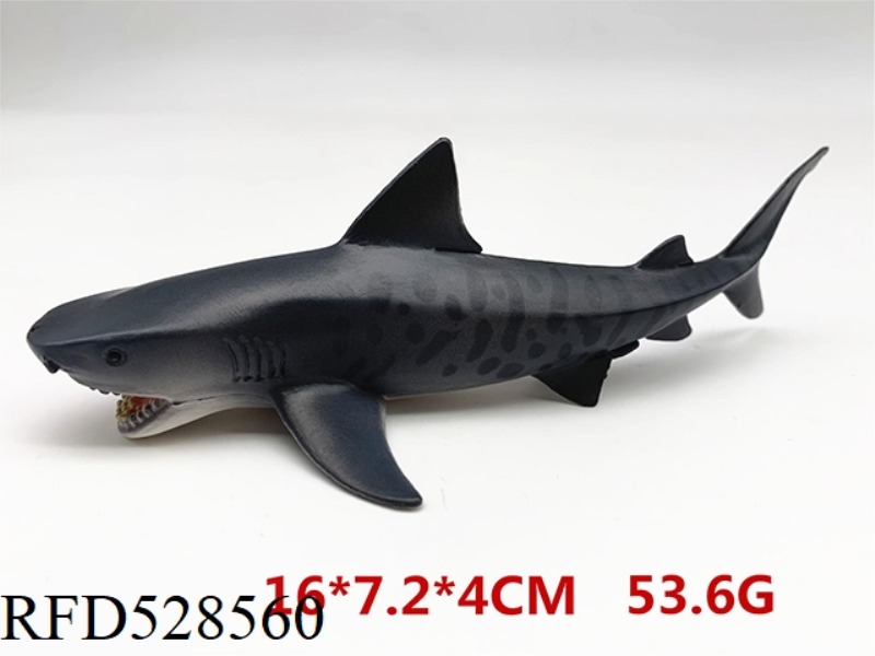 LITTLE TIGER SHARK