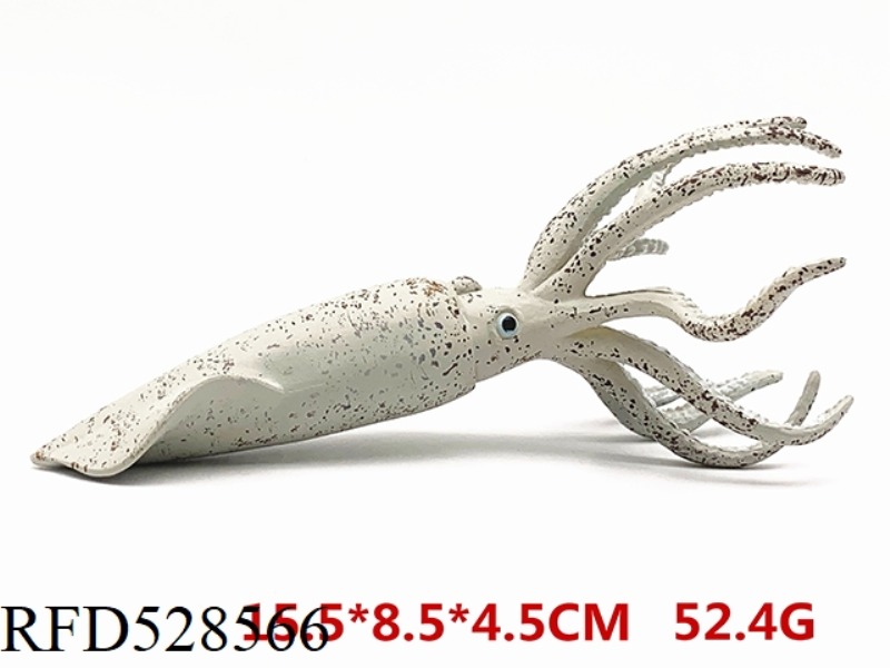 SQUID