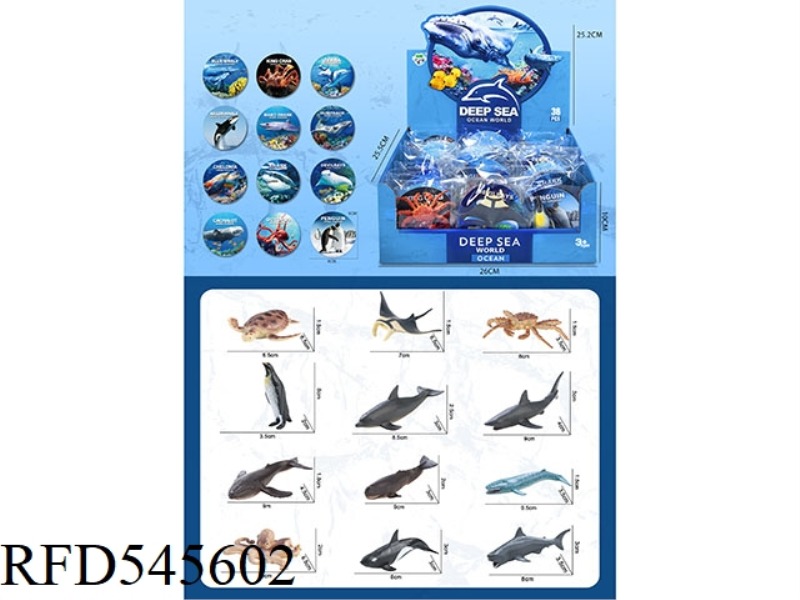 OCEAN DISPLAY BOX (WITH CARDS) 36PCS