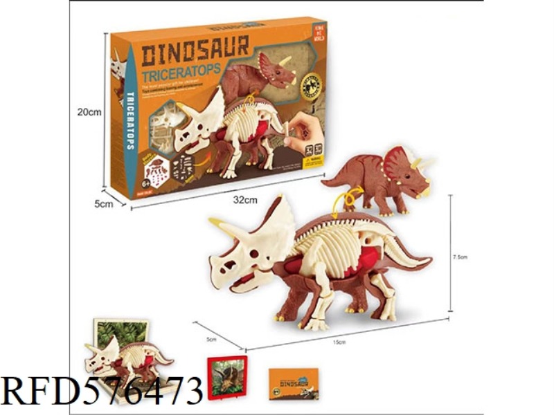 3D TRICERATOPS SELF INSTALLED
