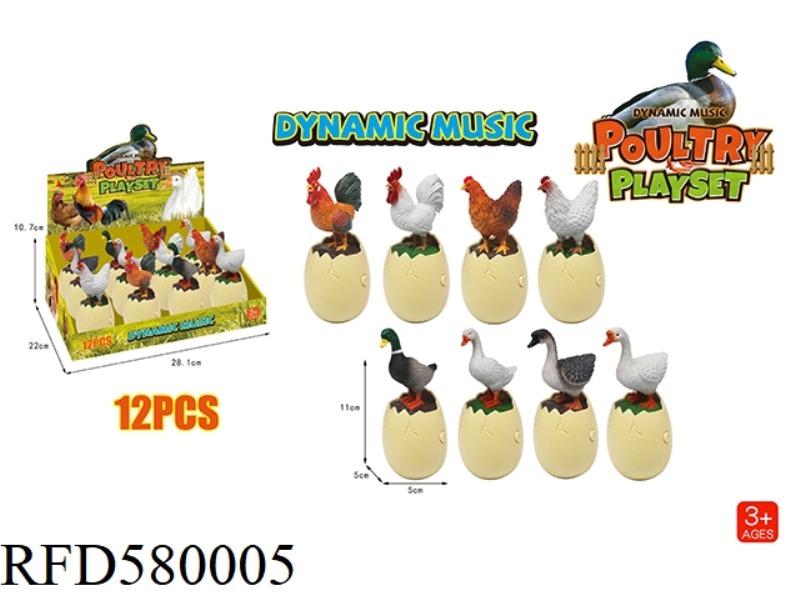 FUN POULTRY SOUND DYNAMIC MUSIC SERIES 12PCS