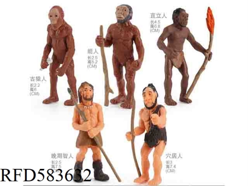 THE HISTORY OF HUMAN EVOLUTION