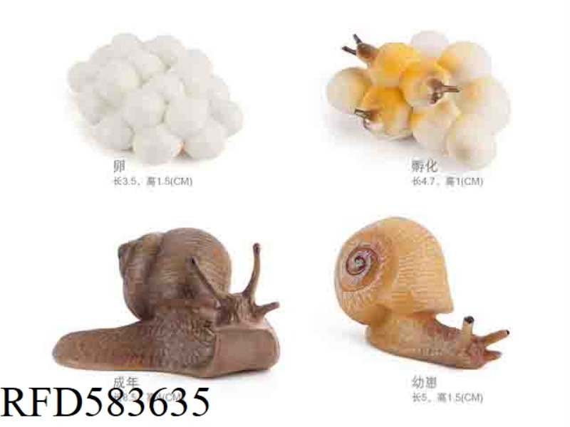 SNAIL GROWTH CYCLE 1
