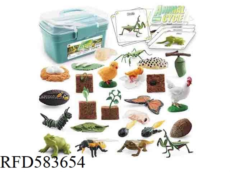 GROWTH CYCLE STORAGE BARREL PACKAGING 6 +6 SETS OF CARDS [FACTORY VERSION WITH]