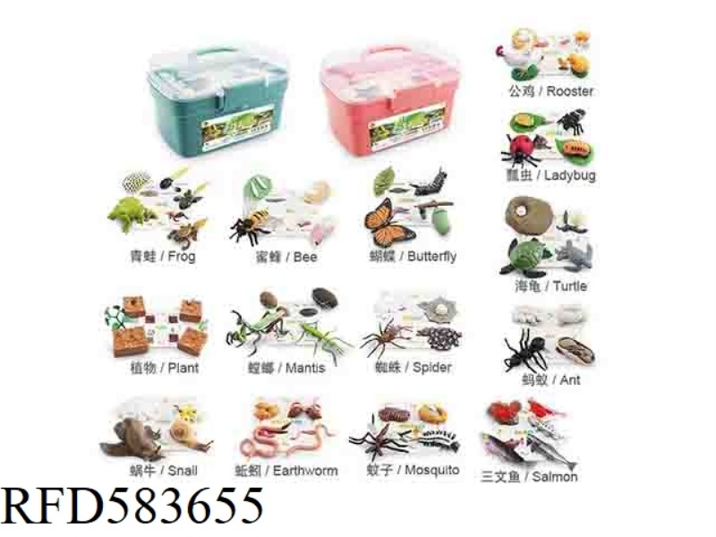 GROWTH CYCLE STORAGE BARREL 6 CYCLE PRODUCTS +6 SETS OF CARDS [ANY 6 SELF-MATCHING INTO A STORAGE BA
