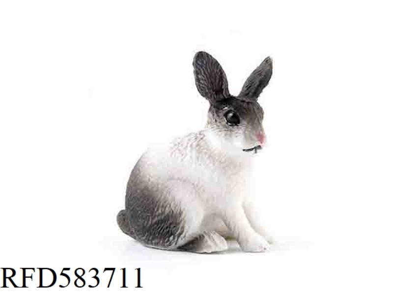 RABBIT