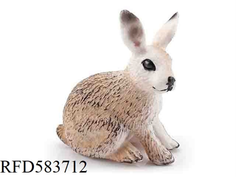 HARE
