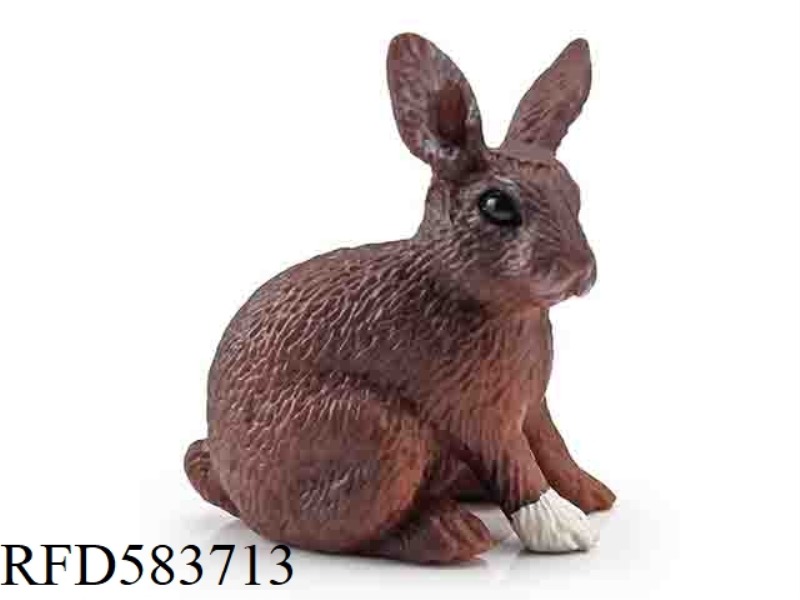 HARE