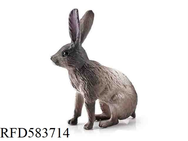 HARE