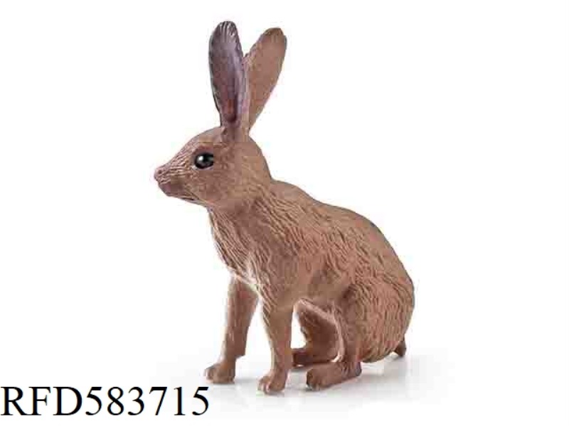 HARE